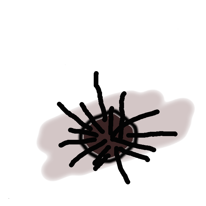 【海栗】ウニ綱の棘皮(きょくひ)動物の総称。殻は半球形・円錐形・円盤形などで、表面は栗のいが状のとげに覆われ、とげの間から細い糸状の管足を出して運動する。口器は下面中央にあり、「アリストテレスの提灯(ちょうちん)」とよばれ、肛門は背面中央にある。すべて海産で、生殖巣を食用にするものにアカウニ・バフンウニ・ムラサキウニなどがある。