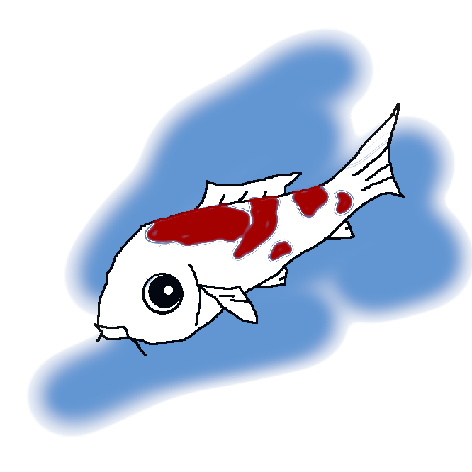 【錦鯉】コイの色変わり種をもとに日本で改良された品種。色彩・斑紋はきわめて多様。色鯉。花鯉。変わり鯉。