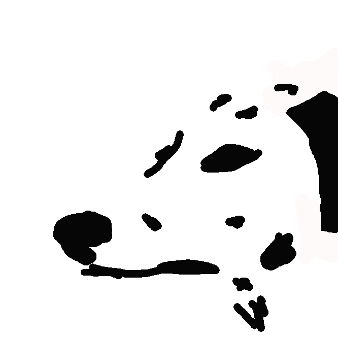 【ダルメシアン:Dalmatian】犬の一品種。クロアチアのダルマチア地方の原産。体形はポインターに似て、白色の地に黒などの丸い斑点がある。