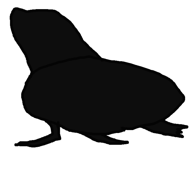 【海豹】鰭脚(ききゃく)目アザラシ科の哺乳類の総称。陸上では、後肢が後方に向いたままで、前肢で体を引きずって前進する。クラカケアザラシ・ゴマフアザラシ・ゾウアザラシなど約20種が、世界各地の海洋、特に北洋に多く、淡水湖にも分布。シール。