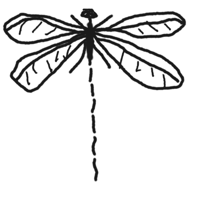 【糸蜻】イトトンボ科のトンボの総称。体は小形で細く弱々しく、翅 (はね) の脈は粗い。翅を立てて止まる。キイトトンボ・アジアイトトンボなど。