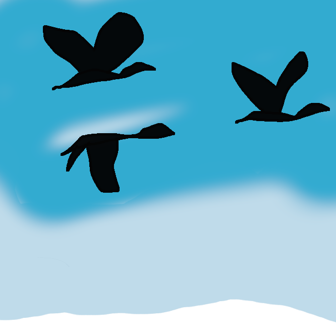 【雁】カモ目カモ科の鳥のうち、ハクチョウ類を除いた大形のものの総称。雌雄同色で、羽色は一般に地味な褐色。草食性。多くは北半球の北部で繁殖し、日本にはマガン・ヒシクイなどが冬鳥として渡来、湖・沼・湿地・水田などでみられる。V字形や横1列の編隊を組んで飛ぶ。