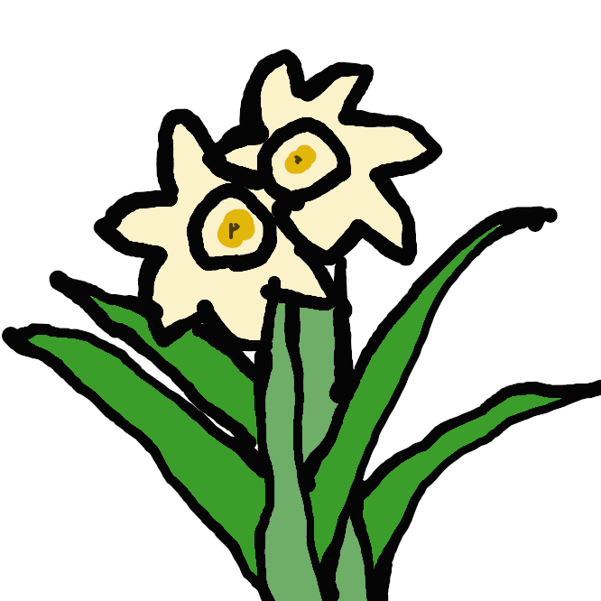 【水仙】ヒガンバナ科の多年草。早春に、鱗茎(りんけい)から1本の花茎を出し、白や黄色で中央に副花冠をもつ花を横向きにつける。葉は根生し、平たい線形。耐寒性で栽培に適し、観賞用とする。らっぱ・口紅・房咲き・八重咲きスイセンなどの品種がある。主に地中海沿岸地方の原産。本州以西の海岸に自生するものは、野生化したものといわれる。