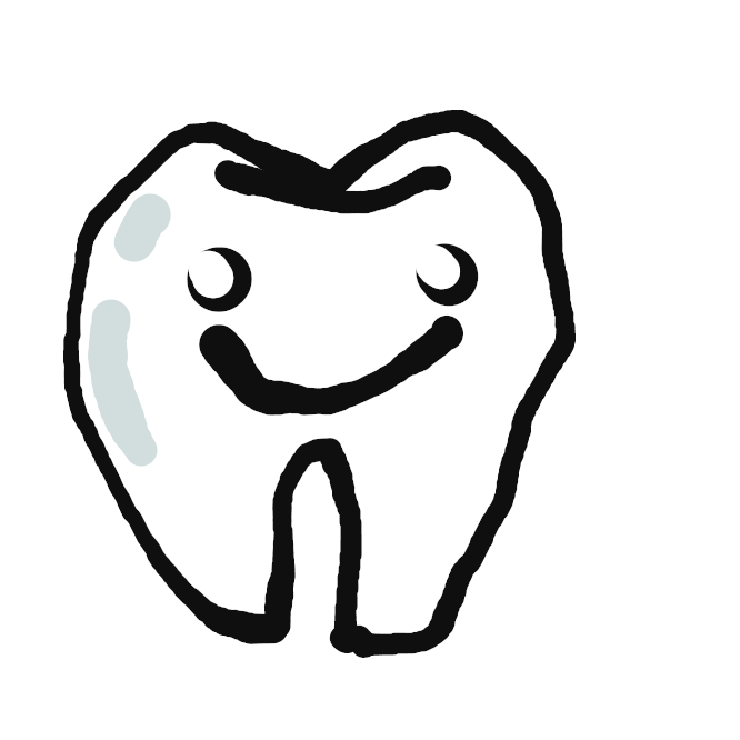 【歯】鳥類以外の脊椎動物の口の中にあって、食物の保持・咀嚼(そしゃく)や攻撃・防御に関与する硬い器官。人間では言語の発声にも関与し、乳歯が生え換わると永久歯が出る。顎骨(がっこつ)に上下2列に並んで生え、歯髄を象牙質が覆い、さらに歯冠はエナメル質に、歯根はセメント質に覆われる。