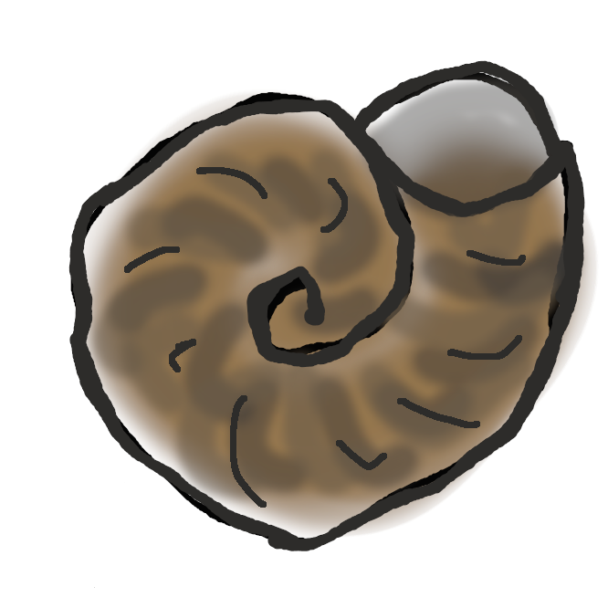 【巻貝】腹足綱の軟体動物の総称。特にそのうち、背側に螺旋(らせん)状に巻いた殻をもつものをさすが、殻が退化して皿状や板状になったものもある。前鰓類(ぜんさいるい)のサザエ・タニシ・アッキガイなど、後鰓類のウミウシ・キセワタガイなど、有肺類のカタツムリなどに分けられる。