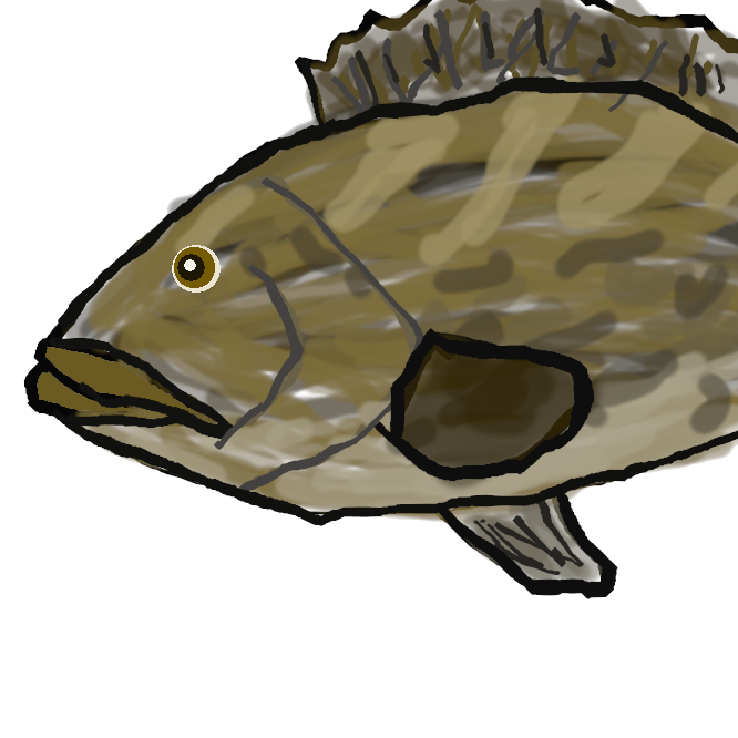 【minnow】〈諸々の子〉の意。コイ科の魚で体の細長い小魚にこの名のつくことが多い。単にモロコという和名の魚はいない。琵琶湖周辺ではホンモロコをいい、東京（特に釣人の間）ではタモロコをいう。ホンモロコは全長９cm程度。琵琶湖・淀川水系の特産で、現在は諏訪湖、山中湖、関東地方の川に移殖され繁殖している。冬きわめて美味で、琵琶湖の名物。絶滅危惧IA類（環境省第４次レッドリスト）。タモロコは全長７cm程度。静岡・新潟県以西の本州と、四国の一部、九州北部に分布。関東地方にも移殖されて繁殖している。美味。なお、伊豆半島などでハタ科のクエの成魚をいうこともある。