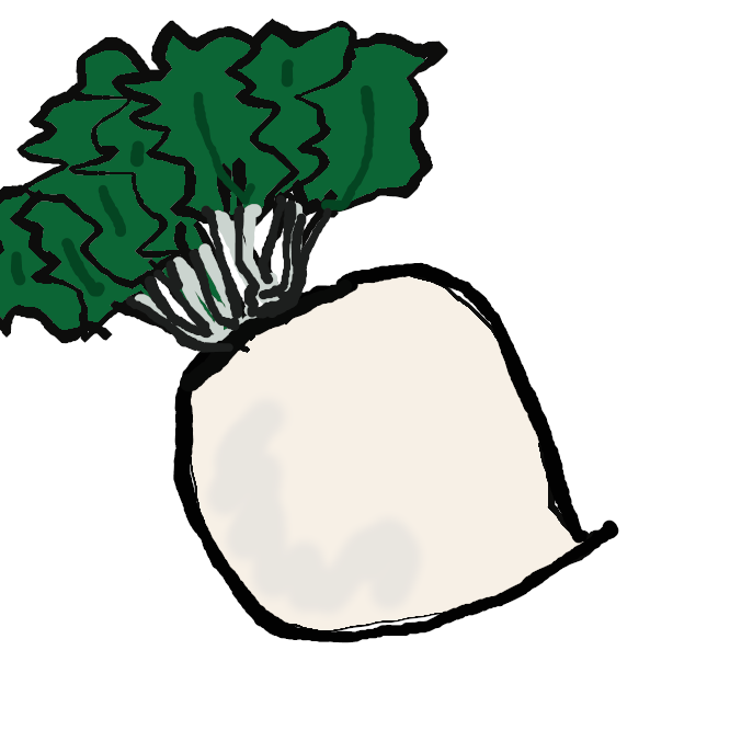 【桜島大根】ダイコンの一品種。桜島で栽培され、根は球形で大きく、3〜5キロにもなる。