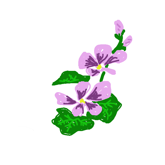 【銭葵】アオイ科の越年草。高さ60〜90センチ。葉は円形で長い柄をもち、互生する。初夏、赤紫色の5弁花を開く。ヨーロッパの原産で、日本には元禄以前に渡来。錦葵(きんき)。小葵(こあおい)。