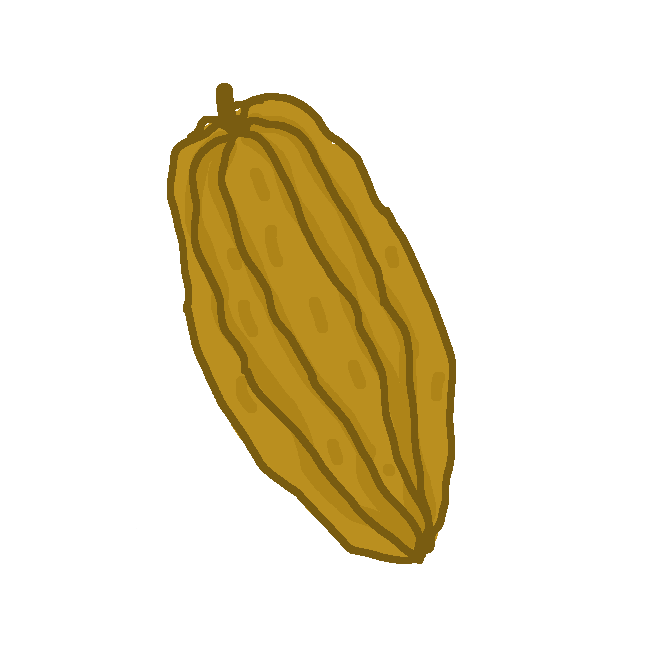 アオギリ科の常緑小高木。葉は楕円形。白色の5弁花が、幹や太い枝に直接ついて咲く。実は大きく、長楕円形で、赤・黄色などに熟し、中に多数の種がある。種子を発酵させたものをカカオ豆とよび、チョコレートなどの原料にする。南アメリカ熱帯地方の原産。ココアのき。
