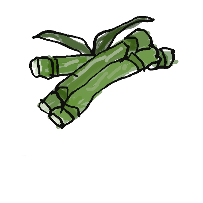 【砂糖黍】イネ科の多年草。高さ2〜4メートル。茎は中空ではなく、節がある。茎の汁を絞って砂糖（甘蔗糖(かんしょとう)）を作る。ニューギニアとその周辺の原産で、日本では主に沖縄・九州で栽培される。甘蔗。砂糖竹。