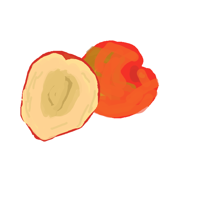 【酸桃】バラ科の落葉小高木。葉は長楕円形。春、白色の5弁花が密集して咲く。果実は桃に似てやや小さく、黄赤色に熟し、少し酸味があり、食用。中国の原産。古くから日本でも栽培され、ソルダム・サンタローザ・巴旦杏(はたんきょう)などの品種を日本スモモと総称する。近縁の西洋スモモはプルーンという。