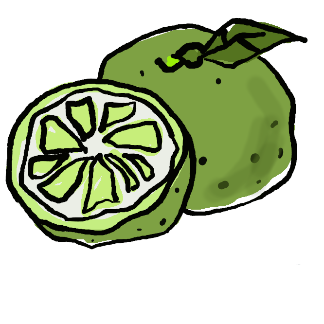 【酢橘】ミカン科の常緑低木。ユズに似て果実は小さく、扁球形。果肉は酸味が強く、特有の香気がある。食酢用に徳島県で栽培され、まだ緑色のときに収穫する。