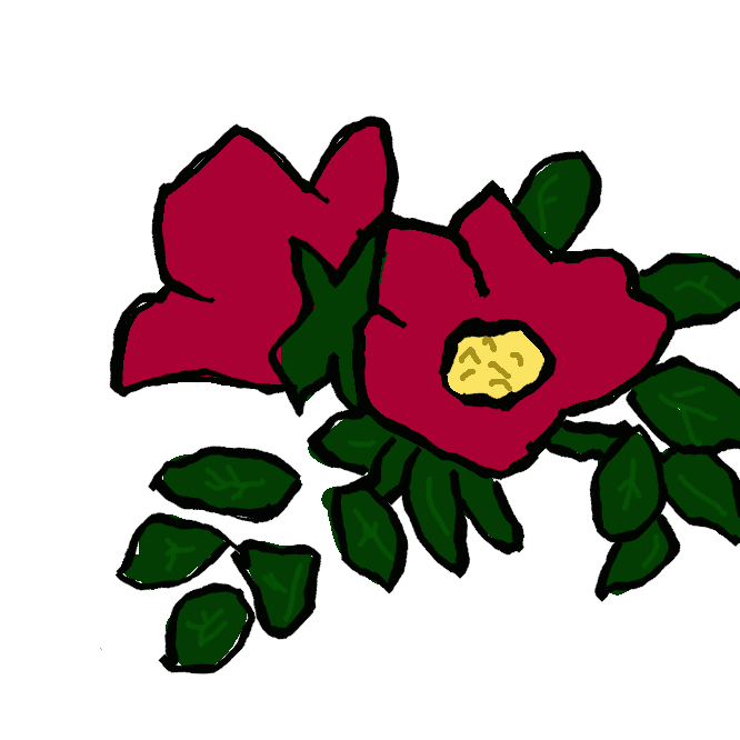 【浜梨】バラ科の落葉低木。本州中部以北の海岸の砂地に自生。枝にとげがあり、葉は楕円形の小葉からなる羽状複葉。春から夏、香りの強い紅色の5弁花を開く。実は扁球形で赤く熟し、食べられる。根皮から黄色の染料がとれる。玫瑰(まいかい)。はまなし。