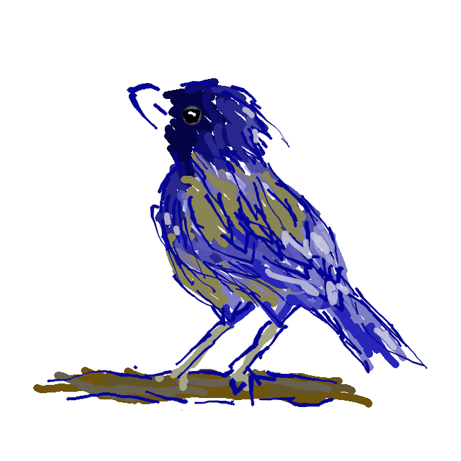 【瑠璃懸巣】カラス科の鳥。頭・翼・尾が瑠璃色のほかは栗色。奄美(あまみ)大島と徳之島にのみ分布し、天然記念物。