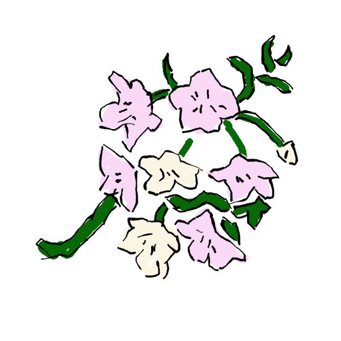 バラ科の落葉小高木。本州中部地方の山地に自生。葉は卵形で、縁に切れ込みがある。春、葉より先に淡紅色の小さい花が開き、6月ごろに黒紫色の実がなる。