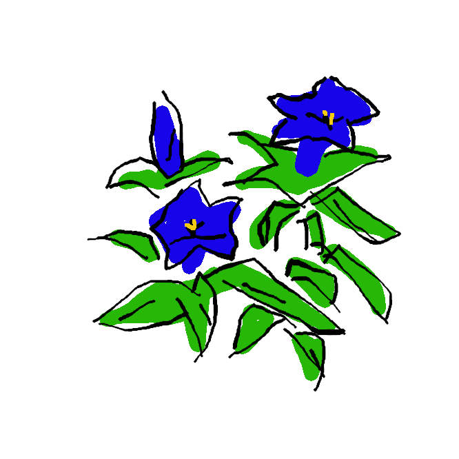 リンドウ科の多年草。山野に生え、葉は先のとがった楕円形で3本の脈が目立ち、対生する。秋、青紫色の鐘状の花を数個上向きに開く。根・根茎に苦味成分を含み、漢方では干したものを竜胆(りゅうたん)といい薬用。同科にはハルリンドウ・ミヤマリンドウやセンブリなども含まれる。