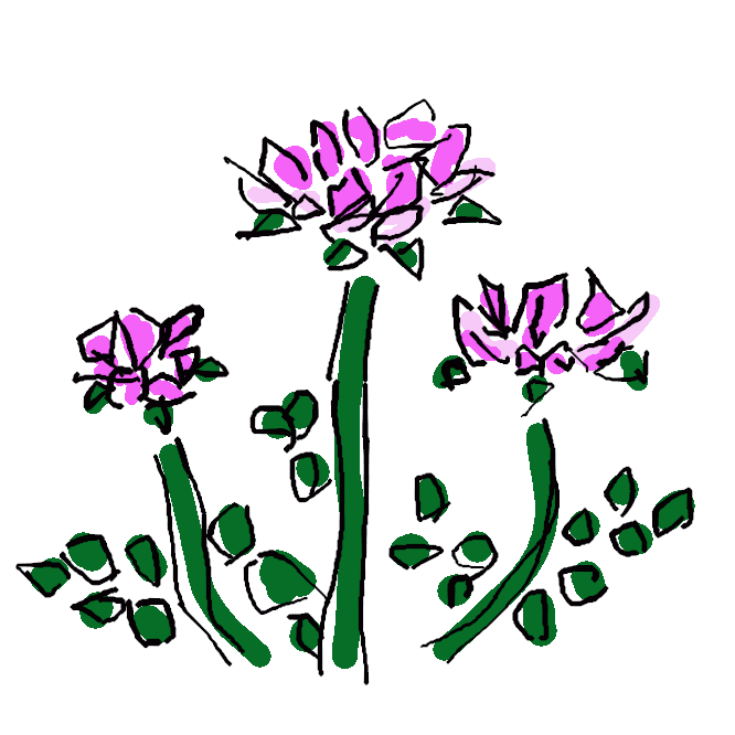 【蓮華草】マメ科の越年草。茎は地をはってよく分枝し、葉は9〜11枚の小葉からなる羽状複葉。4、5月ごろ、長い柄の先に紅紫色の蝶形の花を輪状につけ、仏像の蓮華座を思わせる。中国の原産。江戸後期から緑肥にするため水田に栽培され、田植え前の花盛りのころに土にすき込む。漢名、紫雲英。げんげ。れんげ。