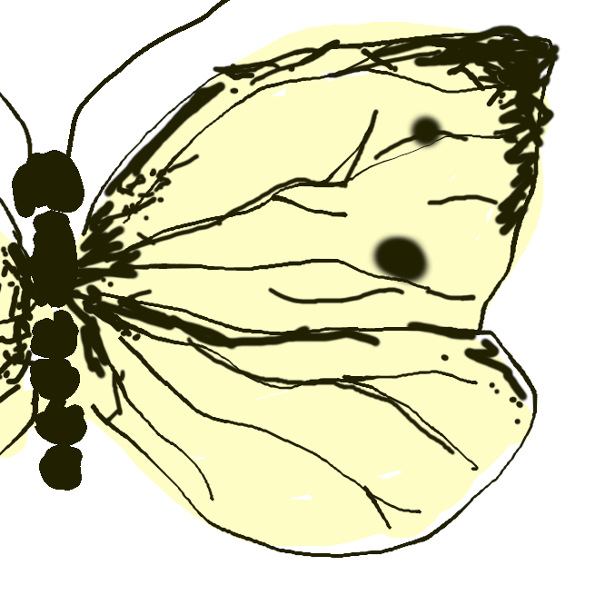 【紋白蝶】シロチョウ科のチョウ。最も普通にみられるチョウで、翅は白色で、前翅の先端が黒く、前翅に二点、後ろ翅の前縁に一点の黒紋がある。幼虫は菜の青虫・菜種虫などとよばれ、キャベツ・ハクサイ・アブラナなどの葉を食べ、害虫ともなる。年数回発生し、ふつう、さなぎで越冬。