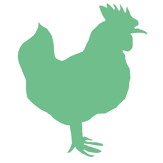 【鶏】キジ科の鳥。古くから家禽(かきん)化され、東南アジアに分布するセキショクヤケイ（赤色野鶏）が原種に近いといわれる。あまり飛ばず、頭頂に赤いとさかをもつ。卵用のレグホン、肉用のコーチン、卵肉兼用のプリマスロック、愛玩用のチャボ・東天紅・唐丸など、品種が多い。