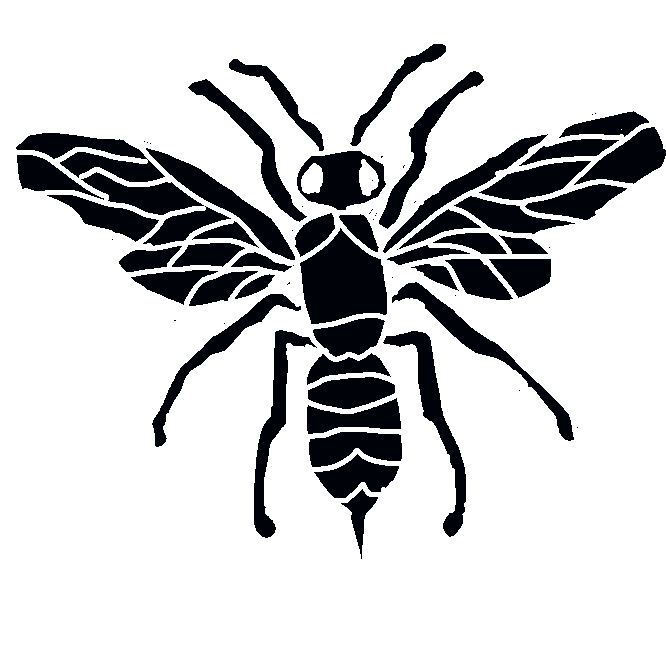 【蜂】膜翅(まくし)目のうち、アリを除く昆虫の総称。二対の膜質の翅(はね)をもち、後ろ翅は小さく、前翅の後縁にかぎで連結される。産卵管の変化した毒針をもつものもある。完全変態をする。木の枝や軒先・地中などに巣を作り、花から蜜を集めたり他の昆虫を狩ったりする。社会生活を営むものでは、女王蜂・雄蜂・働き蜂などの階級があり、分業がみられる。ハナバチ・アシナガバチ・アナバチなど種類が非常に多い。