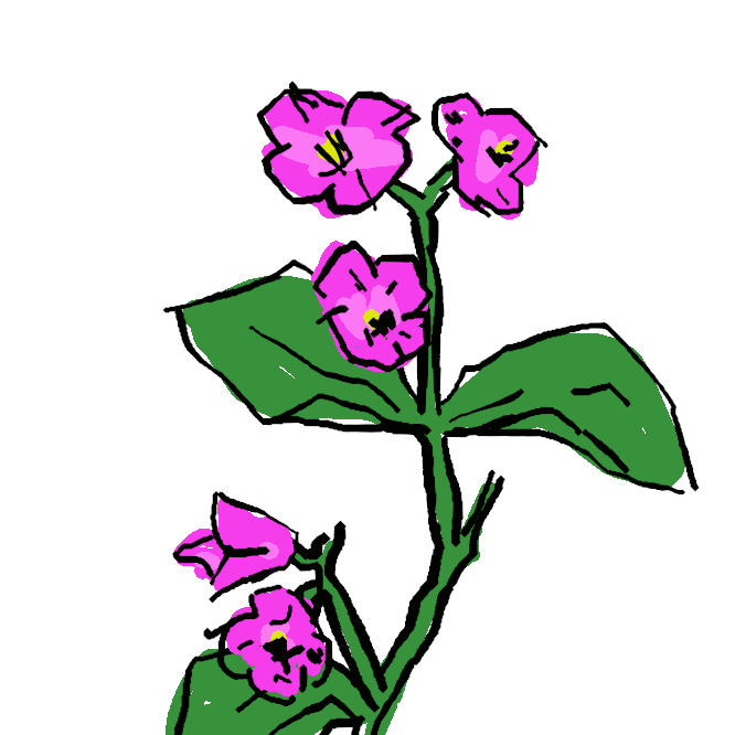 シュウカイドウ科ベゴニア属（シュウカイドウ属）の植物の総称。多年草または小低木で、熱帯に多く産し、種類も多い。茎や葉は多肉質で柔らかい。葉は卵形や心臓形で裏面が赤や紫色。花は4弁および5弁花で、白・桃・赤・黄色など。観賞用とし、園芸種は非常に多い。