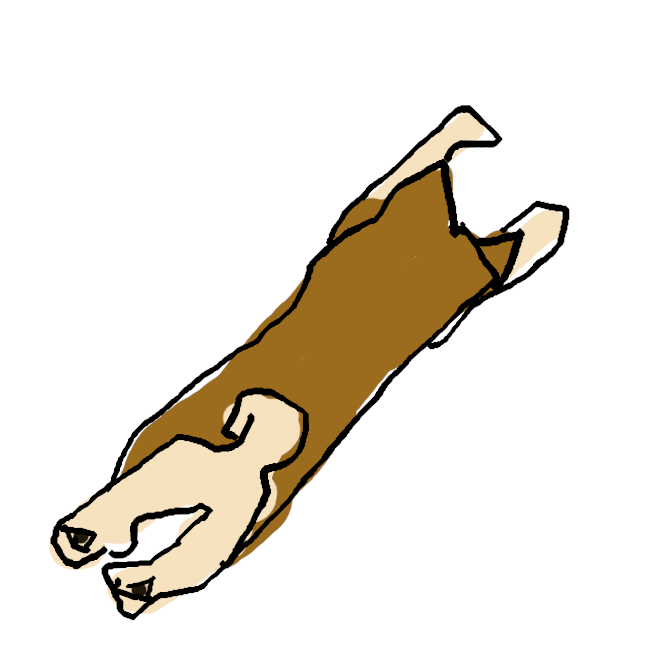 【柴犬】日本犬の一品種。小形で、毛色は褐色のものが多い。本来はキツネ・アナグマ用の猟犬だが、家庭犬としても重用される。