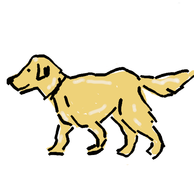 英国原産の猟犬。毛は長く、金茶色かクリーム色。優秀な回収犬（ハンターの撃ち落とした獲物を回収する犬）であるが、性質が良く、盲導犬や麻薬探知犬としても活躍する。