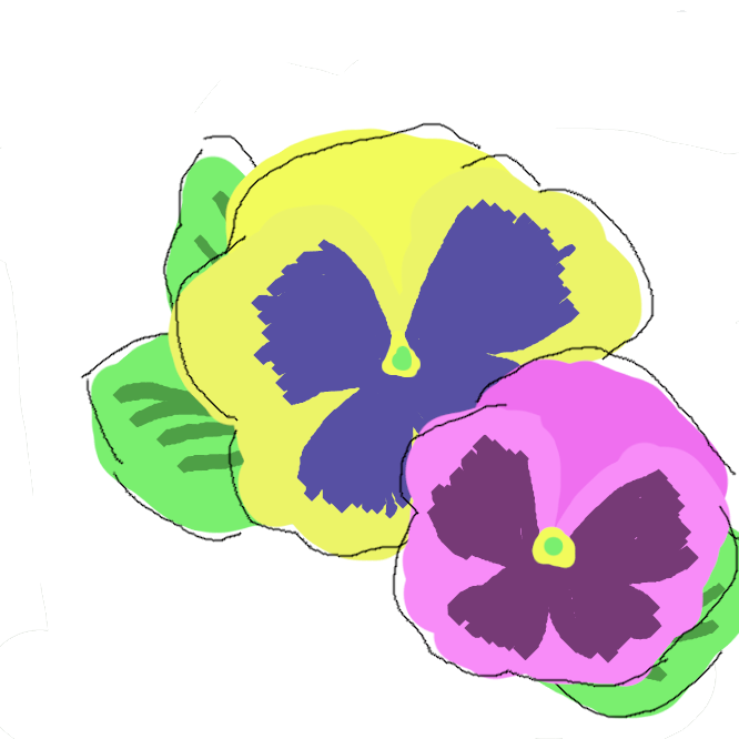 紫・白・黄色など花の色が綺麗な園芸植物で、サンシキスミレと言われています。観賞用として、三色の色を変えた種類が、店頭に並んでいます。
