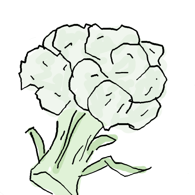 アブラナ科アブラナ属の一年生植物。頂花蕾を食用にする淡色野菜として栽培されるほか、観賞用途でも利用される。