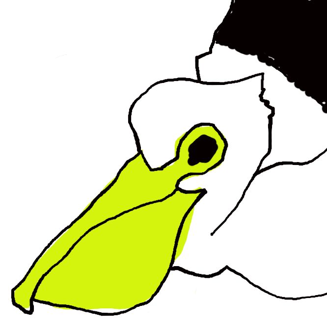 ペリカン目ペリカン科の鳥の総称。大形の水鳥。長い下くちばしに大きな袋があり，この袋を利用して大きな魚をのみ込む。集団で生活する。温・熱帯の水辺に分布する。