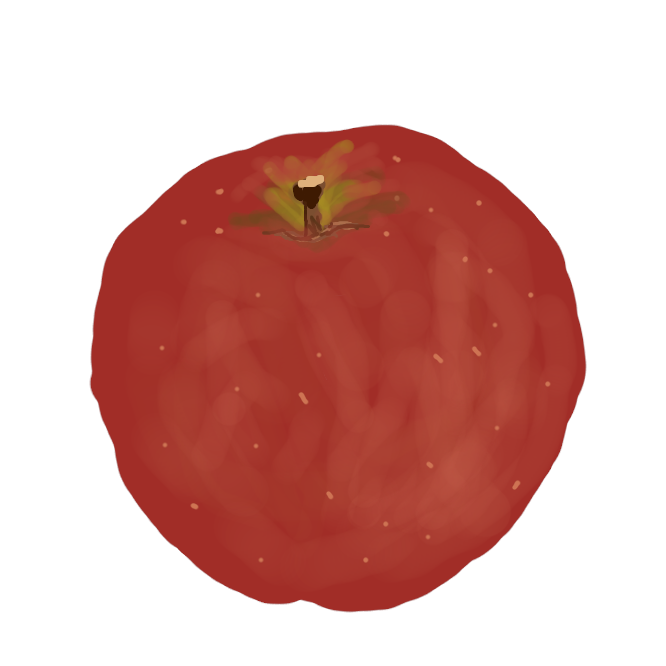 青森県りんご試験場で育成されたりんごで、親の組み合わせは「ふじ」と「印度」と考えられています。