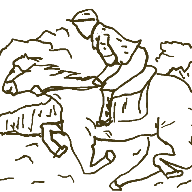 騎手が乗った馬により競われる競走競技および、その着順を予想する賭博である。