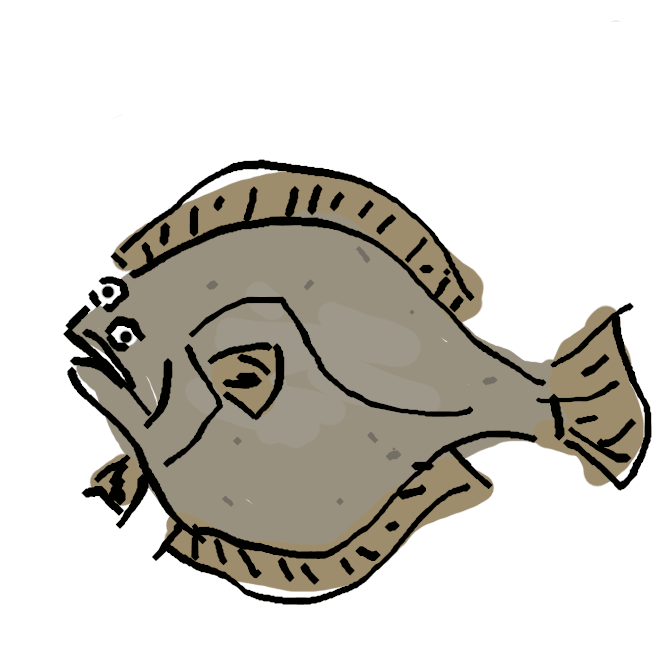 カレイ目カレイ亜目ヒラメ科に属する魚の一種。広義には、ヒラメ科とダルマガレイ科に属する魚の総称である。有眼側が体の左側で、日本では「左ヒラメに右カレイ」といってカレイ類と区別する。